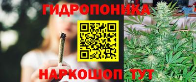 крисы Краснознаменск