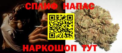 крисы Краснознаменск